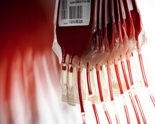 Blood and Blood products in Chennai